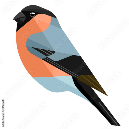 illustration of a Eurasian bullfinch bird