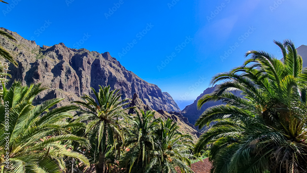 Palm trees with view on pinnacle of remote tourist village Masca, Teno mountain range, Tenerife, Canary islands, Spain, Europe. Rock formation is surrounded by steep cliffs. Gulch connceted to the sea Palm trees with view on pinnacle of remote tourist village Masca, Teno mountain range, Tenerife, Canary islands, Spain, Europe. Rock formation is surrounded by steep cliffs. Gulch connceted to the sea