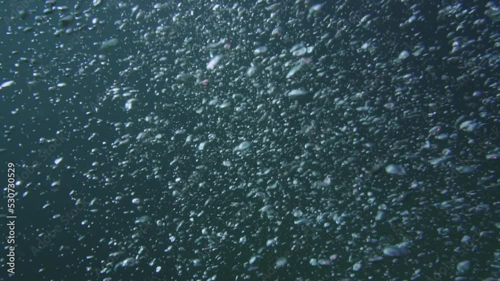 Underwater Slow Motion Shot Of A Large Group Of Bubbles Raising To The Surface Underwater Slow Motion Shot Of A Large Group Of Bubbles Raising To The Surface