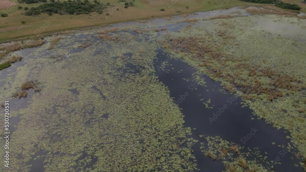 Aerial Panning Shot Of The Marshlands In Mozambique Aerial Panning Shot Of The Marshlands In Mozambique