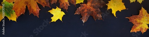 Narrow banner.Yellow autumn leaves on a dark background .Background with a copy of the space. Background for the inscription.