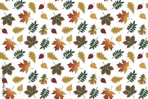 Autumn seamless natural pattern of fall leaves. floral background.