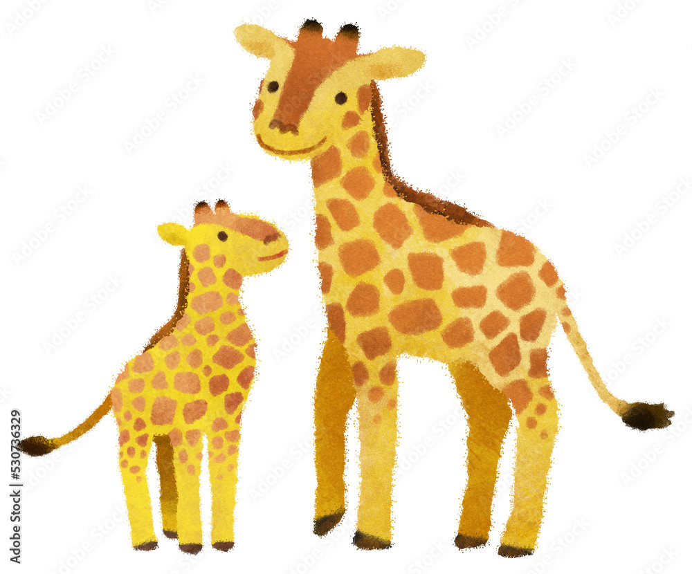 Fototapeta premium キリンの親子のイラスト