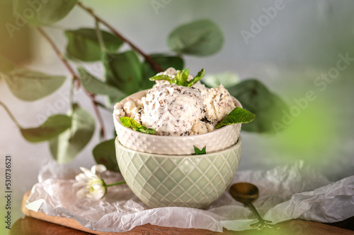 Homemade ice cream with chocolate on light background