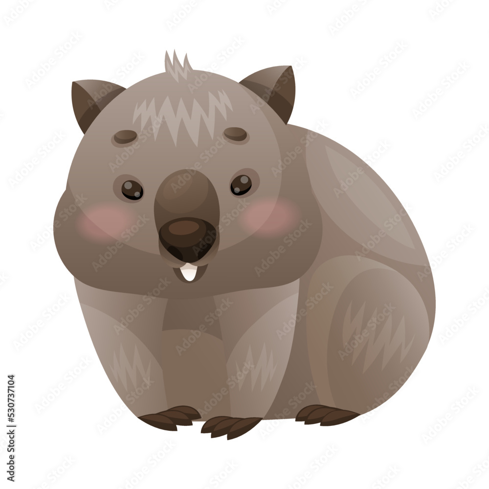Cute Grey Wombat as Australian Animal and Endemic Fauna Vector Illustration Cute Grey Wombat as Australian Animal and Endemic Fauna Vector Illustration