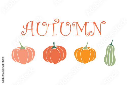 Set of illustrations from multi-colored pumpkins and zucchini. vector illustration