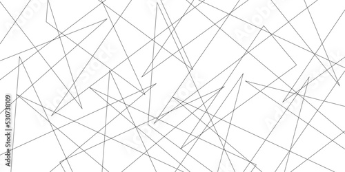 Abstract lines in black and white tone of many squares and rectangle shapes on white background. Metal grid isolated on the white background. nervures de feuilles mortes, fond rectangle and geometric