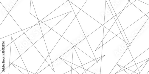 Abstract lines in black and white tone of many squares and rectangle shapes on white background. Metal grid isolated on the white background. nervures de feuilles mortes, fond rectangle and geometric
