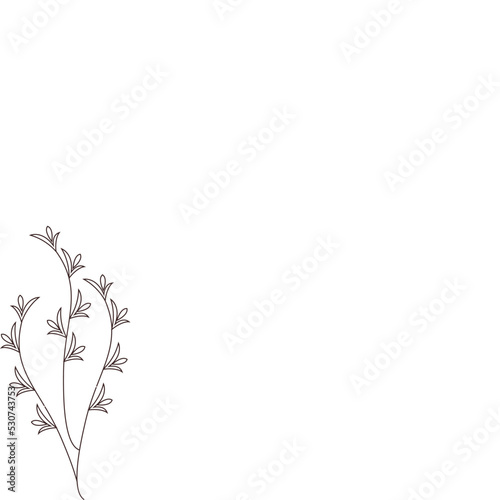 decorative element with flower and leaves 