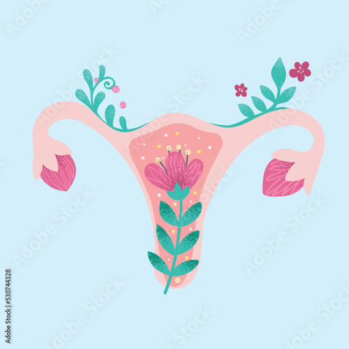 Female reproductive system. Anatomical vector illustration for gynecology clinic promotional materials. Flowers symbolize fertility