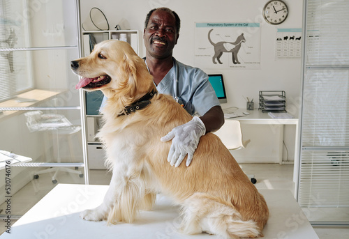 Portrait of African vet with domestic pet smiling at camera while examining dog at his office