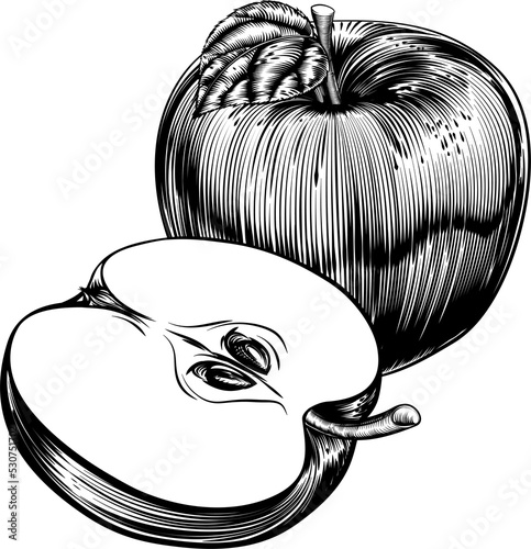 Vintage Woodcut Apples