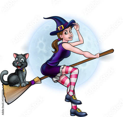 Halloween Witch and Cat Fly...
