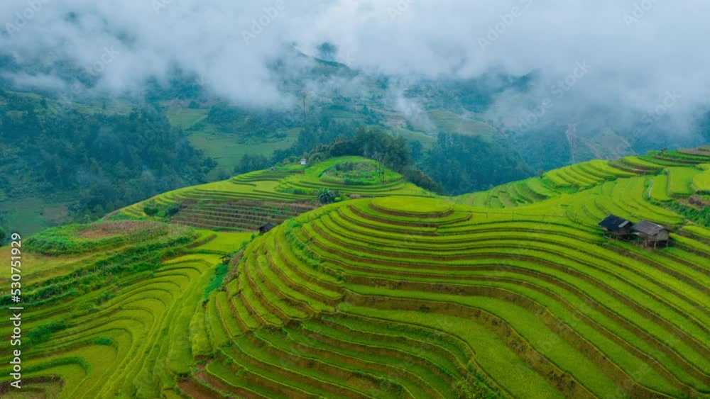 Hyper lapse of Rice terraces with morning mist in Mu cang chai, Vietnam. Beautiful landscape in Vietnam. Hyper lapse of Rice terraces with morning mist in Mu cang chai, Vietnam. Beautiful landscape in Vietnam.