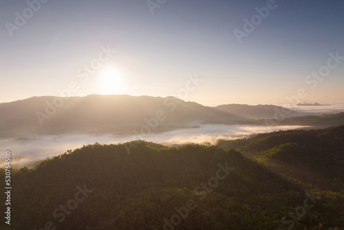 Fog in forest. © 24Novembers