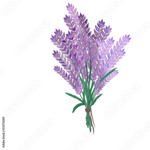 Lavender Icon