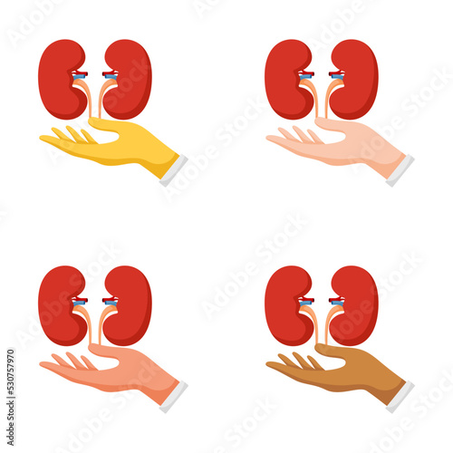 Set of hands gestures with kidney