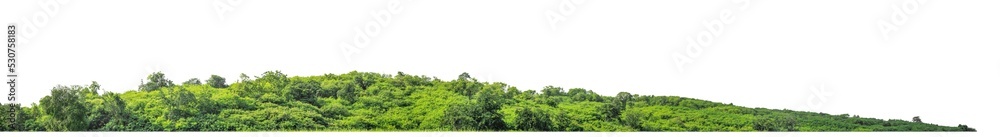 rocky mountain hill with green forest isolated on transparent .background with clipping path and alpha channel rocky mountain hill with green forest isolated on transparent .background with clipping path and alpha channel