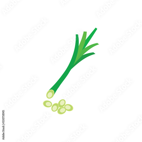 Leek vegetable icon template