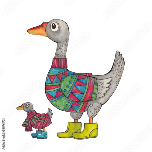 Duck and duckling in a sweater and scarf. Children's illustration with gray ducks in clothes