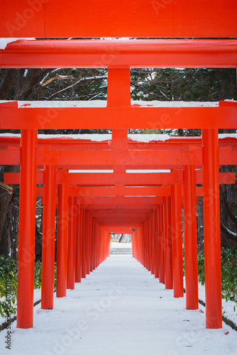 Red wooden Torii Gate at Fushimi Inari Shrine in winter snow.  Sapporo, Hokkaido, Japan