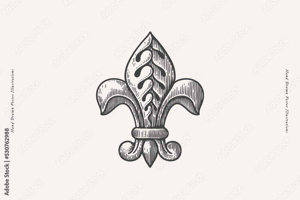 Royal lily flower in engraving style. Fleur de lis on a light isolated background. Heraldic symbol of royalty. Vintage vector illustration. - obrazy, fototapety, plakaty 