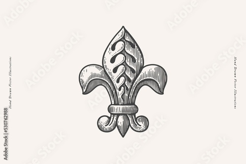 Royal lily flower in engraving style. Fleur de lis on a light isolated background. Heraldic symbol of royalty. Vintage vector illustration.