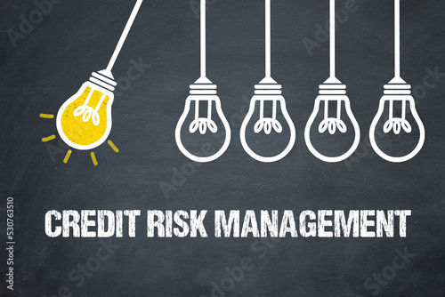 Credit Risk Management 