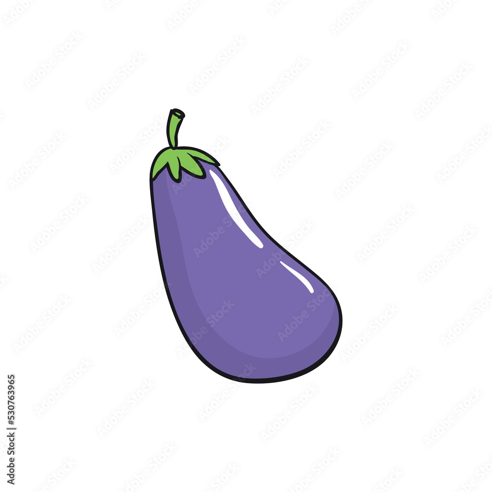 vector Eggplant (Solanum melongena) was isolated on a white background.