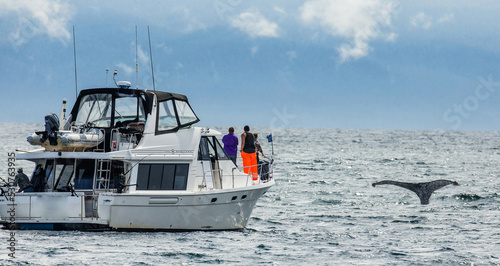 Tourists are watching Humpback whale (Megaptera novaeangliae) from a boat. Chatham Strait area. Alaska. USA.