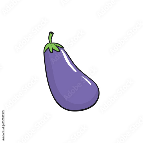vector Eggplant (Solanum melongena) was isolated on a white background.