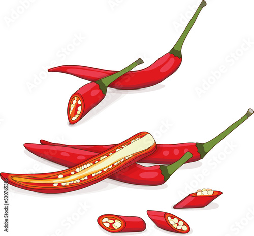 Whole, quarter, slices, and wedges of Red Thai chili peppers. Red Chilli Padi. Bird's eye Chilli. Thai pepper. Thai chili. Vegetables. Cartoon style. Vector illustration isolated on white background.
