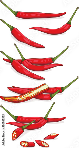 Set of Red Thai chili peppers. Whole, half, sliced, and wedges of peppers. Bird's eye Chilli. Thai pepper. Thai chili. Vegetables. Cartoon style. Vector illustration isolated on white background.