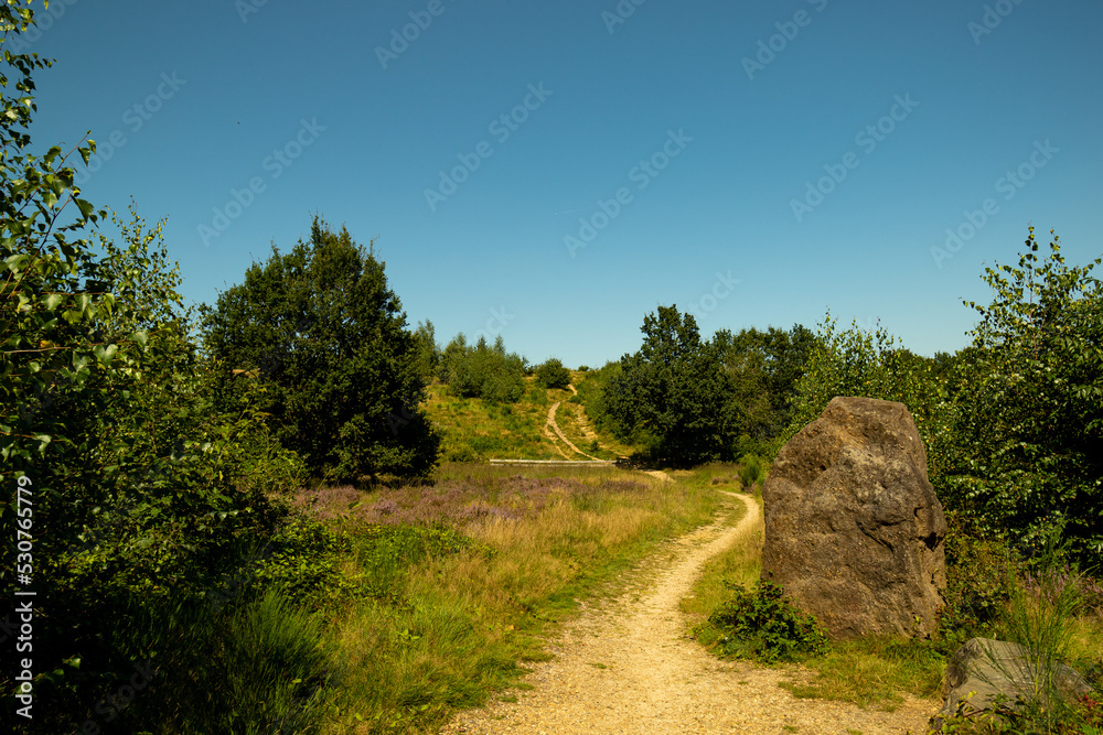 Scenic trail footpath through open fields of Calluna vulgaris, or simply heather undergrowth. Blue skies.