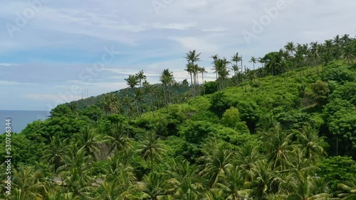 rural jungle island with tropical coconut trees on a hill during day, aerial photo