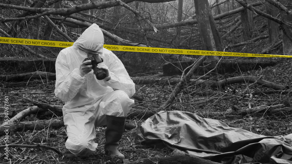 Detectives are collecting evidence in a crime scene. Forensic specialists are making expertise. Police investigation in a forest. Black and white image with yellow police line.