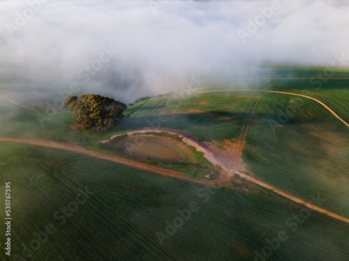 Aerial view of Overberg farm with fog, Western Cape, South Africa. photo