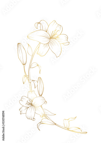 Hand drawn golden lily flower semicircle wreath composition. Luxury elegant contour vector illustration for postcard, wedding invitations, birthday, thank you card, logo, cosmetics.