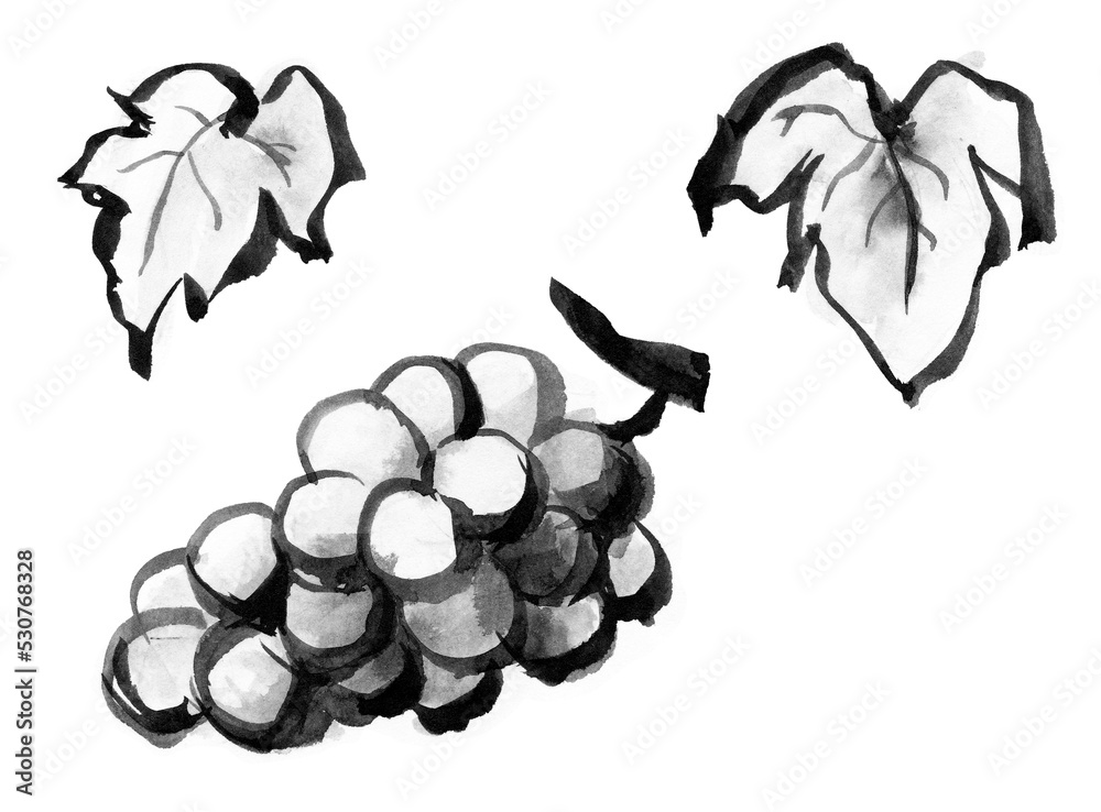 ぶどう イラスト 白黒 Images Browse 76 Stock Photos Vectors And Video Adobe Stock