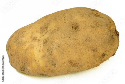 Durzy ziemniak odmiany noya