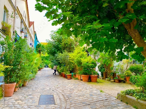 Foto The hidden street of Cite du Figuier in the city of Paris