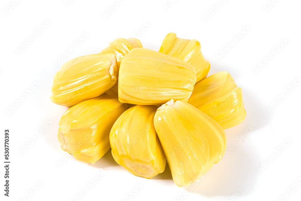 fresh ripe jackfruit peeled fruit isolated on white background. fresh ripe jackfruit peeled fruit isolated on white background.