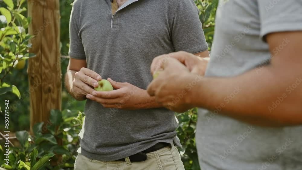 Un agriculteur discute avec son conseiller dans le verger en tenant une pomme