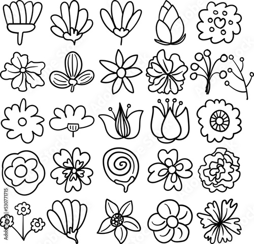 Flowers Hand Drawn Doodle Line Art Outline Set Containing flower, flowers, blossom, flora, bloom, baby tooth, herb, perennial, vine, annual, bud, cluster, efflorescence, floret, floweret