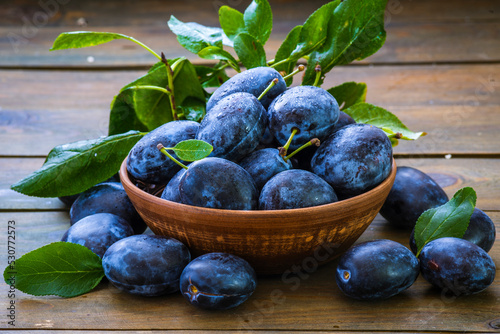 Ripe blue Fresh organic  sweet plums just picked from the tree, walnut wood bowl plate indoors. Autumn Harvest of fruits  rustic  wooden dark black background leaf clay.