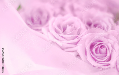 a postcard of pink and purple rose flowers with a copy of the space