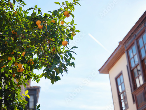 travel to turkey, old town Kaleci. district street view, in Antalya. popualr resort city for tourists. photo