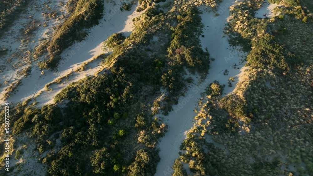 Aerial panning birdseye shot of sandy dunes covered with green bushes lit with the golden warm light of the rising sun Aerial panning birdseye shot of sandy dunes covered with green bushes lit with the golden warm light of the rising sun