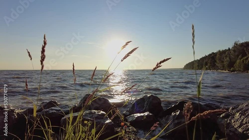grass, rocks, sea, sunset
