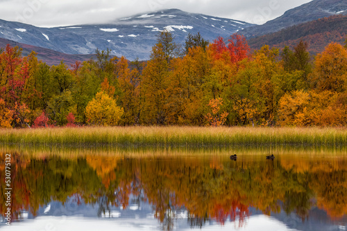 Autumn in Swedish Lapland